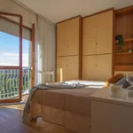 Rent 1 bedroom apartment in Milano