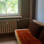 Rent 3 bedroom apartment of 64 m² in Łódź