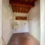 Rent 3 bedroom apartment of 75 m² in Capannori