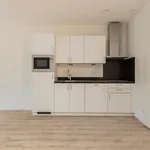 Rent 2 bedroom apartment of 45 m² in Hoge Rijndijk Oost