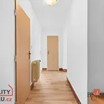 Rent 3 bedroom apartment in Trutnov