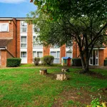 Rent 1 bedroom flat in Epping Forest