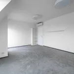 Pronajměte si 6 ložnic/e byt o rozloze 289 m² v Prague