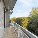 Rent 2 bedroom apartment in Harelbeke