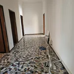 Affitto 3 camera appartamento di 200 m² in Padova