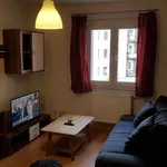 Rent 2 bedroom apartment of 50 m² in Nürnberg