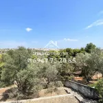 Rent 3 bedroom house of 85 m² in Rafina Municipal Unit