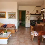 Rent 3 bedroom house of 60 m² in Guardistallo