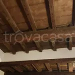 Rent 1 bedroom apartment of 35 m² in Firenze