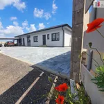 Pronajměte si 1 ložnic/e dům o rozloze 409 m² v Tuhaň