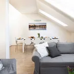 Rent 4 bedroom apartment of 150 m² in Prague