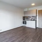 Rent 1 bedroom apartment of 26 m² in Prague