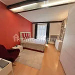 Rent 3 bedroom apartment of 110 m² in Turin