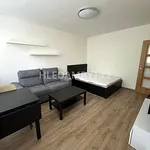 Rent 1 bedroom apartment of 27 m² in Capital City of Prague