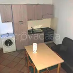 Rent 2 bedroom apartment of 50 m² in Piacenza