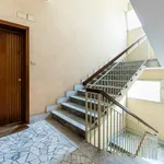 Rent 7 bedroom apartment in Rome