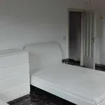 Rent a room in Bologna