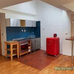 Rent 1 bedroom apartment in Capital City of Prague