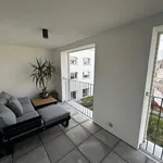 Rent 1 bedroom apartment in Aalst