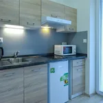 Rent 1 bedroom apartment in Brno