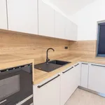 Pronajměte si 2 ložnic/e byt o rozloze 71 m² v Prague