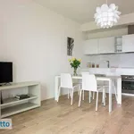 Rent 2 bedroom house of 60 m² in Milan