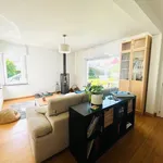 Rent 3 bedroom house in Denderleeuw