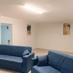 Rent 3 bedroom apartment in Rome