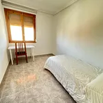 Alquilar 5 dormitorio apartamento en Alicante