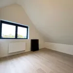 Rent 5 bedroom house in Genk