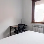 Rent 1 bedroom apartment in Rome