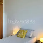 Rent 2 bedroom apartment of 50 m² in Milano