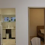 Rent 1 bedroom apartment of 43 m² in Brno