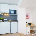 Studio o rozloze 18 m² v prague