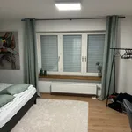 Miete 2 Schlafzimmer wohnung von 43 m² in Wertheim