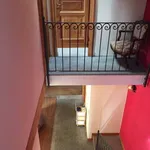 Rent 2 bedroom apartment of 65 m² in Torino