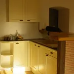 Rent 2 bedroom apartment of 48 m² in Rodez