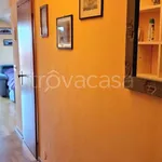 Rent 2 bedroom apartment of 50 m² in Padova