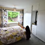 Rent 2 bedroom house in York