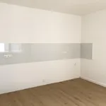 Miete 2 Schlafzimmer wohnung von 60 m² in Bingen am Rhein