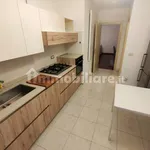 Rent 3 bedroom apartment of 105 m² in Bergamo