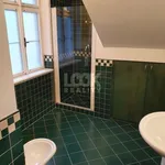 Pronajměte si 4 ložnic/e byt o rozloze 170 m² v Prague