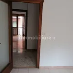 Rent 3 bedroom apartment of 70 m² in Cuneo