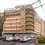 Rent a room of 177 m² in milan