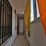 Alquilar 4 dormitorio apartamento en Valencia