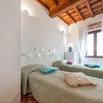 Rent 1 bedroom apartment in Florence