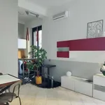 Rent 1 bedroom apartment in milan