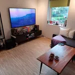 Rent 2 bedroom apartment of 55 m² in Trondheim