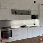 Pronajměte si 2 ložnic/e byt o rozloze 52 m² v Pilsen