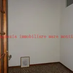 Rent 4 bedroom apartment of 90 m² in Savona